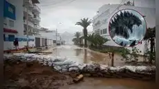 Advierten Niño Godzilla en Perú, se intensificará el calor y persistirá hasta invierno