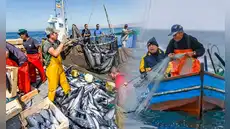 Exportaciones pesqueras para consumo humano directo crecen 125.1% en enero