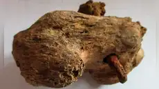 Descubrimiento arqueológico revela la "mayor evidencia" que confirma la existencia de la crucifixión en la antigua Roma