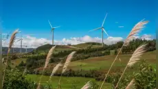 El viento puede cambiar la matriz energética: Perú tiene potencial eólico para generar más de 20.000 MW, pero solo aprovecha el 5%