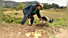 BCR: actividad agropecuaria creció 4% durante enero