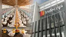 Indecopi abre proceso sancionador contra cinco avícolas por presunto acuerdo de precios del pollo: ¿Cuáles son?