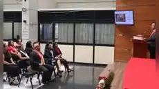 Conmemoran el XVII Aniversario de Implementación del Código Procesal Penal en Piura