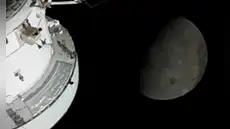 La misión Artemis II realiza sobrevuelo histórico EN VIVO: 4 astronautas de la NASA están en la cara oculta de la Luna