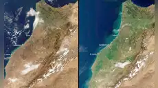 Las imágenes satelitales muestran el gran cambio: las lluvias intensas transformaron un territorio que no se veía tan verde en una década