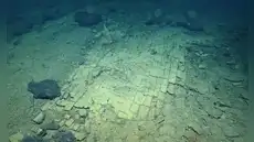 Científicos se sorprendieron tras un descubrimiento a 3.000 metros de profundidad: “un camino de ladrillos amarillos" en el fondo oceánico