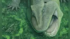 Un raro descubrimiento en el Amazonas desconcierta a los científicos: un “fósil viviente” de 275 millones de años