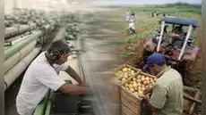 INEI: producción nacional creció 3,68% en febrero por mayor actividad económica en comercio y construcción