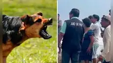 Investigan muerte de pescador por presunto ataque de 12 perros en la playa de Santiago de Car en La Libertad