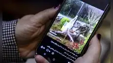 Indignación por fotografía de soldado israelí atacando con un mazo una figura de Jesús en Libano