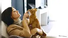 Un estudio confirma que hablarle a tu gato con voz infantil mejora su atención y fortalece el vínculo emocional