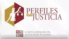 Perfiles de Justicia - Entrevista Dr. Pedro Lizana Bobadilla
