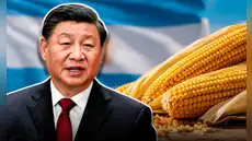 China compra maíz de un país de Sudamérica por primera vez en más de 10 años y proyectan que exportación supere 40 millones de toneladas