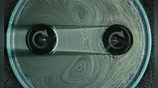 Científicos estadounidenses crean engranajes líquidos sin contacto ni dientes que no se atascan ni se desgastan