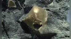 Una misteriosa esfera dorada fue encontrada en el océano: después de dos años, los científicos descubrieron qué era