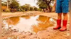 Leptospirosis avanza en Lambayeque: reportan 26 contagios y movilizan vigilancia sanitaria