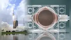 China lanza al espacio "embriones artificiales" para estudiar si los humanos pueden reproducirse fuera de la Tierra