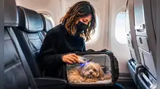 ¿Viajas con tu perro o gato en Europa? La UE exige microchip con código de país en tus mascotas a partir de esta fecha