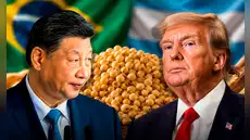 En la mira de China y EE.UU.: un país de Sudamérica podría producir 186 millones de toneladas de soja y liderar exportaciones mundiales