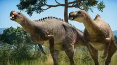 Un fósil intacto revela que los dinosaurios no rugían como en las películas: cantaban como las aves