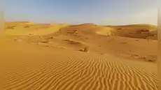 El proyecto ecológico más ambicioso del mundo: 11 países de África luchan juntos para detener el avance del desierto del Sáhara