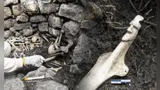Arqueólogos de Perú descubren tumba de hace 600 años en Kuélap con restos humanos y ofrendas ceremoniales únicas