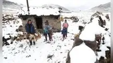 Hasta 5 centímetros de nieve: bajas temperatura dejan muertos, bloquean vías y afectan ganado en estas regiones