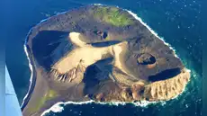 Apareció de la nada en 1963 y quedó aislada de los humanos: una isla funciona como laboratorio natural para observar cómo inicia la vida desde cero