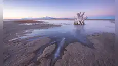 No existe en ningún otro lugar de la Tierra: científicos descubren una criatura misteriosa bajo un lago ultrasalado