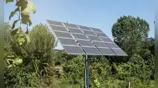 De campos sin vida a ecosistemas verdes: los parques solares en España que reparan el daño histórico de la agricultura intensiva