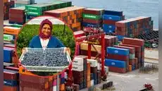 Perú rompe la barrera de los US$ 3.000 millones en agroexportaciones y estos son los alimentos que impulsan el crecimiento