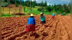 Gobierno aprueba endeudamiento externo por US$26 millones con el FIDA para financiar el proyecto Mercagro: ¿qué implica?