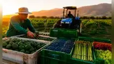ADEX pide al próximo gobierno fortalecer el sector agrario tras crecimiento de 6.8% de las exportaciones que sumaron US$3.744 millones