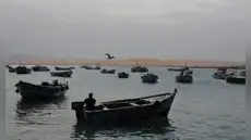 Fujimorismo y ‘lobby’ empresarial a favor de la pesca industrial