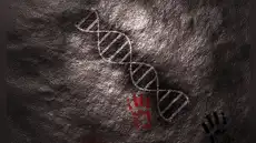 Científicos identifican un ADN antiguo compartido con los neandertales que podría explicar el lenguaje humano