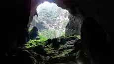 La cueva más grande del mundo esconde fósiles prehistóricos, ríos subterráneos y una selva donde cabe un rascacielos de 40 pisos