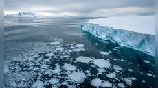 La Antártida pierde una placa de hielo del tamaño de Francia y preocupa a los científicos: "Podría tener repercusiones globales"