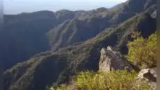 Científicos argentinos descubren una nueva especie de mamífero en el Parque Nacional Traslasierra: vive entre las rocas y se alimenta de plantas