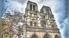 La excavación del siglo bajo Notre Dame: arqueólogos descubren marcas misteriosas y secretos ancestrales