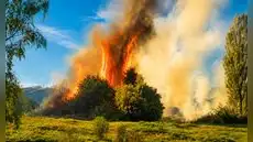 Incendios forestales en Cusco y Arequipa por sequías y quemas agrícolas en plena temporada de riesgo