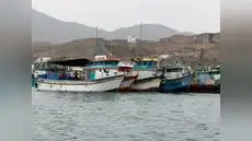 En Pucusana, pescadores artesanales acusan competencia desleal y depredación de flotas industriales