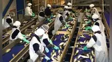Fenómeno El Niño: manufactura perdería hasta S/350 millones diarios si se registra un evento fuerte