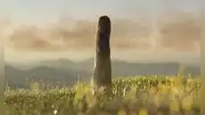 Medía 8 metros y no era animal ni vegetal: descubren un organismo de 420 millones de años que no pertenece a ningun reino conocido