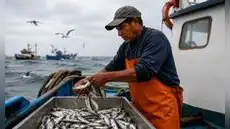 Día del Pescador: Sunafil recuerda que los trabajadores pesqueros formales pueden jubilarse desde los 55 años, ¿cuáles son los requisitos?