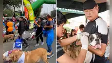 Este distrito de Lima organiza la Caminata Huellas 4K con atención veterinaria gratuita y campaña de esterilización para perros y gatos.