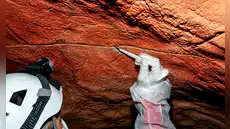 Hallan por primera vez ADN humano de 2.000 años en paredes con arte rupestre