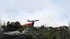 Incendios forestales arrasan más de 17.000 hectáreas en Europa mientras ola de calor amenaza a Francia, España y Portugal Incendios forestales arrasan más de 17.000 hectáreas en Europa mientras ola de calor amenaza a Francia, España y Portugal