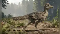 China descubre el ‘eslabón perdido’ de las aves: un fósil revela cómo perdieron sus colas de dinosaurio China descubre el ‘eslabón perdido’ de las aves: un fósil revela cómo perdieron sus colas de dinosaurio