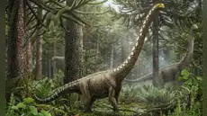 Paleontólogos identifican una nueva especie de dinosaurio gigante gracias a un pequeño hueso