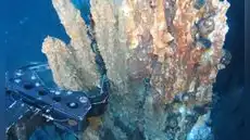 Japón descubre el lugar perfecto para una mina de oro: un cráter volcánico bajo el mar